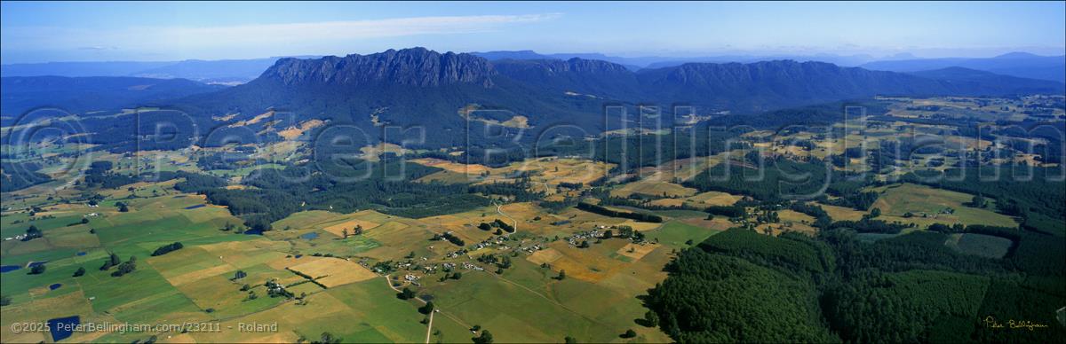 Peter Bellingham Photography Roland